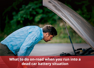 What to do on-road when you run into a dead car ba