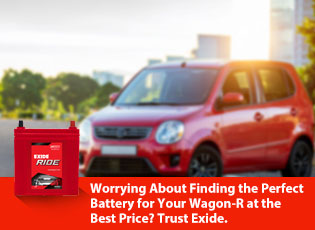 Worrying About Finding the Perfect Battery for You